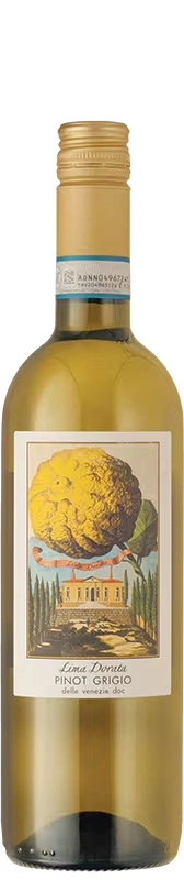 Lima Dorata Pinot Grigio 2024