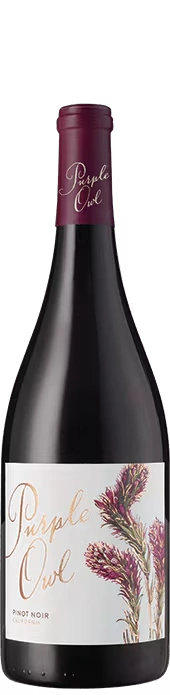 Purple Owl Pinot Noir 2024 1 Purple Owl Pinot Noir 2024