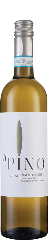 Il Pino Pinot Grigio 2024