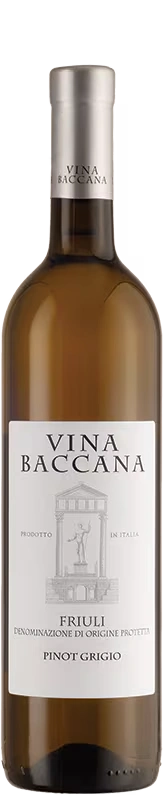 Vina Baccana Pinot Grigio 2024