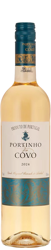 Portinho do Côvo Branco 2024