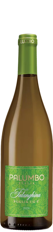 Palumbo Falanghina 2024